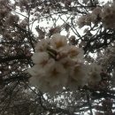 이리여자고등학교 이미지