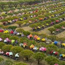 자연으로(의) 회귀 이미지