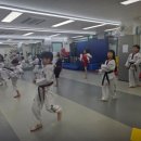 경희대 빅토리 태권도장 네이버블로그