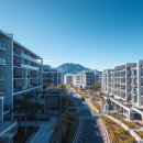 혁신도시LH1단지 | 제주 서귀포 혁신도시 1단지 LH 잔여세대 선착순 공급 분석과 실전 전략 가이드