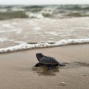 마산육일약국 | 성공한 사업가가 알려주는 성공하는법, 육일약국 갑시다 책 리뷰