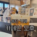 카페오후 | 동탄 지식산업센터 카페 카페인오후 솔직후기 아인슈페너와 치즈계란빵 먹고 찐 리뷰