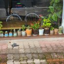 옹기사랑 꽃사랑 이미지