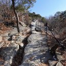 하늘보배 티스토리