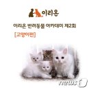 이리온, 30일 반려동물 아카데미 고양이편 개최 이미지