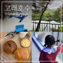 빵고래케익고래 | 원주 대형 카페 고래호수 베이커리 빵 아기 랑 애견동반 추천 내돈내산