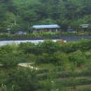 대도농장 이미지