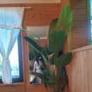 감성숙소Arihouse