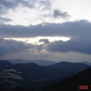 정희태농장 이미지