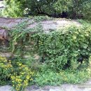 오작교화원 이미지