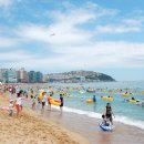 해운대해수욕장 이미지