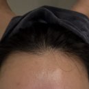 6482 | | 서울 두피관리 두랩스 - 도봉점 | 부모님과 함께 하기 좋은 힐링 서울헤드스파