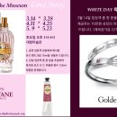 봄 설레임 콘서트 이미지