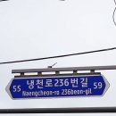 법인하누