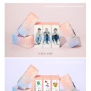 큐브세븐틴 이미지