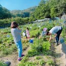 서율농장 이미지