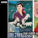 9만명 넘는 재일교포가 북한으로 간 이유 이미지