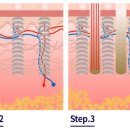 박치영성형외과의원 이미지