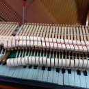 김은영음악학원 이미지