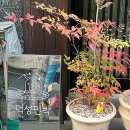 덕성 민박 이미지