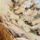 오가네기름집 이미지