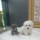 가정1-02-037 이미지