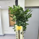 세무법인위즈강서지점 이미지