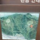 융릉(사도세자능).건릉(정조능)진달래와 백년송(2023년4월 2일) 이미지