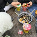 스코닉 이미지