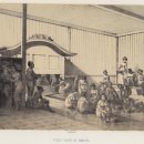 강화독립부대유격군동지회 | 막말유신(幕末維新) 이노우에 가쓰오 (3) - 외국상인의 내륙지 침입을 막은 것은 활성화된 지역상인과...