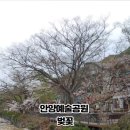 예술공원로131번길 이미지