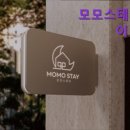모모스테이