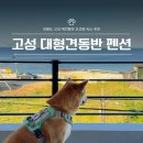 CU 고성청간점 | 강원도 고성 가족 여행 애견동반 펜션