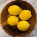 자장자장 | 아기 인생 아홉 달. 자장자장 우리 아기