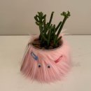 키즈포레스트 이미지