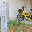 풀향기 이미지