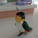 자유로동물병원