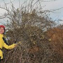 성문중학교 이미지