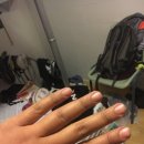 왕벌농장 이미지