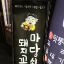 마당쇠돼지꼬리