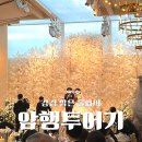 토브네이처 | W6. 강경 밝은 홀파의 본격 홀 투어 전 암행투어 후기(무조건 암행투어 가봐야 하는 이유🕵️‍♀️)