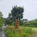 와우사우나 | 강릉 글램핑장추천 와우파크 글램핑장에서 필란드식 사우나 제대로 즐겨보기