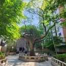 회화나무 도서관 이미지