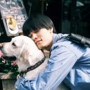 살랑살랑 이미지