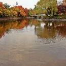 두류공원 이미지