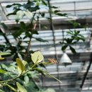 4공단로12길-1 | 노원 불암산나비정원 가는길 주차 직접 다녀온 후기