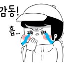 청솔횟집 - 세종특별자치시 보듬3로 8-12 | 청솔횟집
