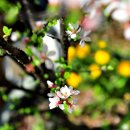 우리마을 풍경담기 이미지