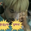 낭만젊음사랑
