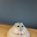 오베르스튜디오